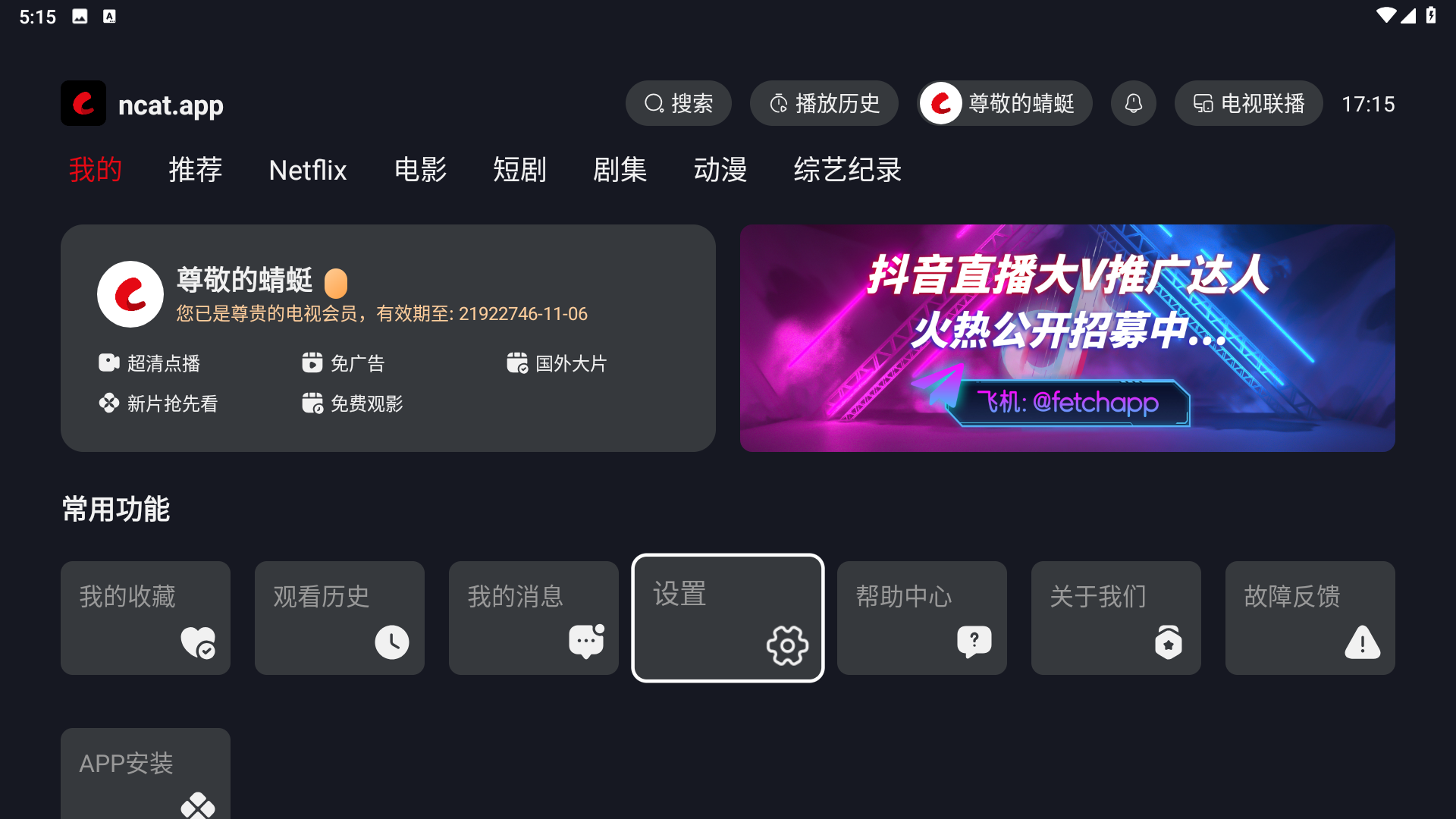 网飞猫