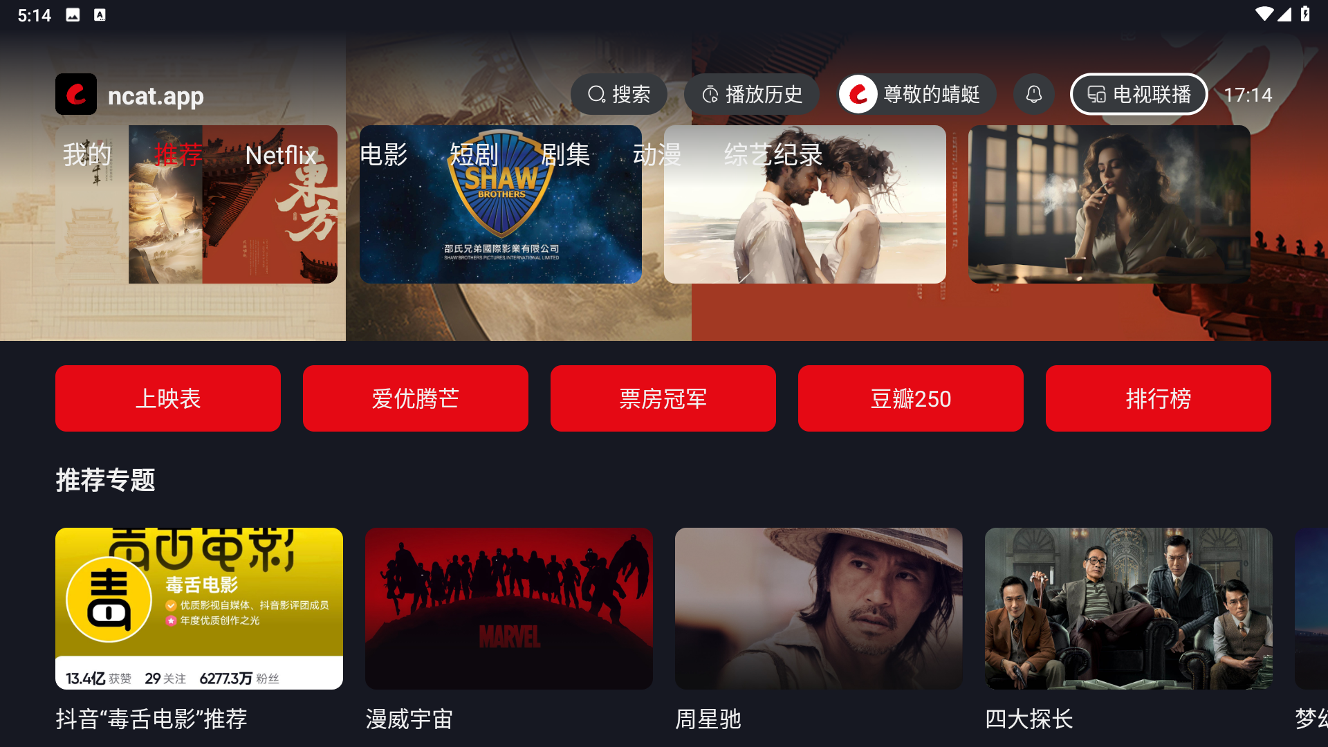 网飞猫